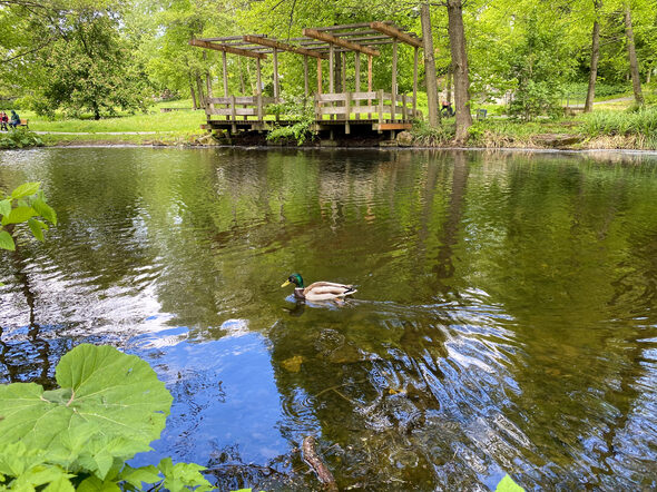 Blick über den Teich im Ketschendorfer Park