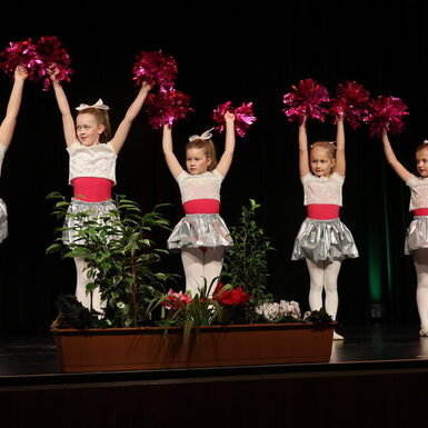 des_Cheerleaders vom Tanzstudio Scholz