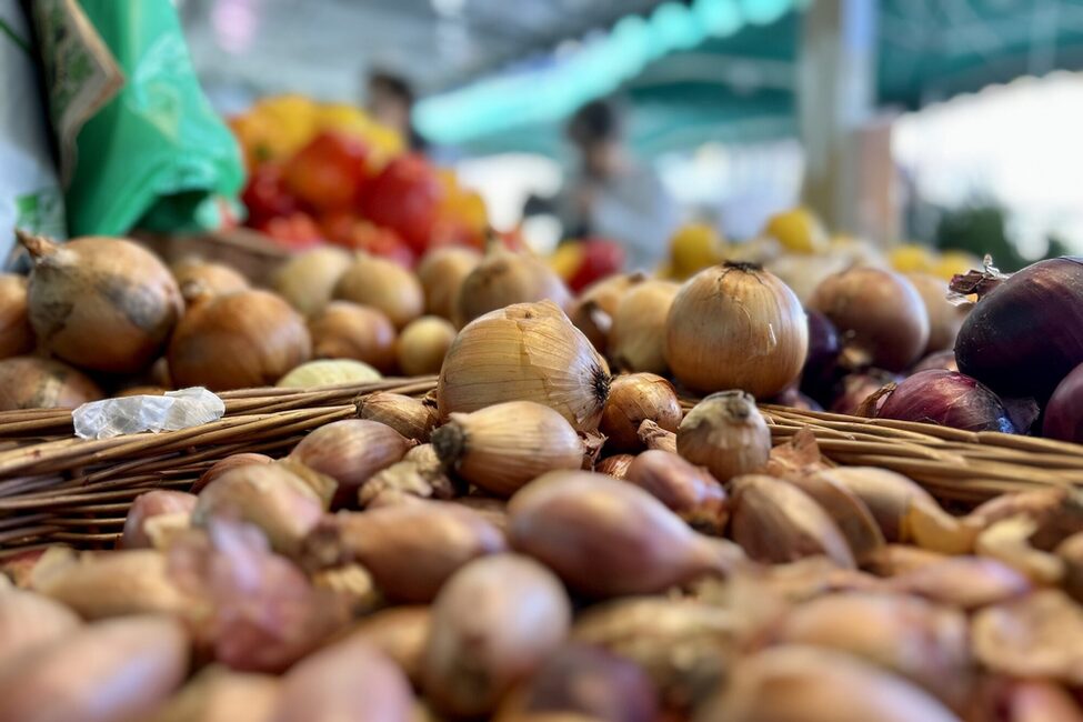 Zwiebeln auf dem Coburger Wochenmarkt