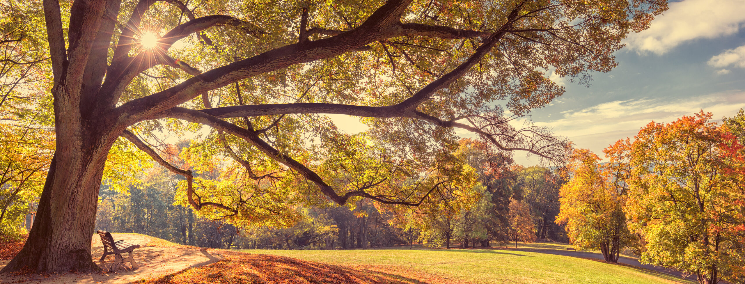 Herbstlicher Ausblick im Coburger Hofgarten